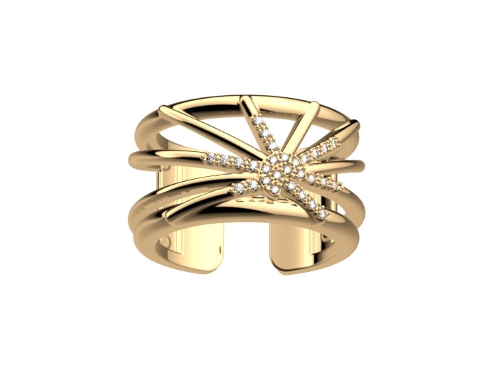 Cette bague en laiton plaqué pour femmes de la collection