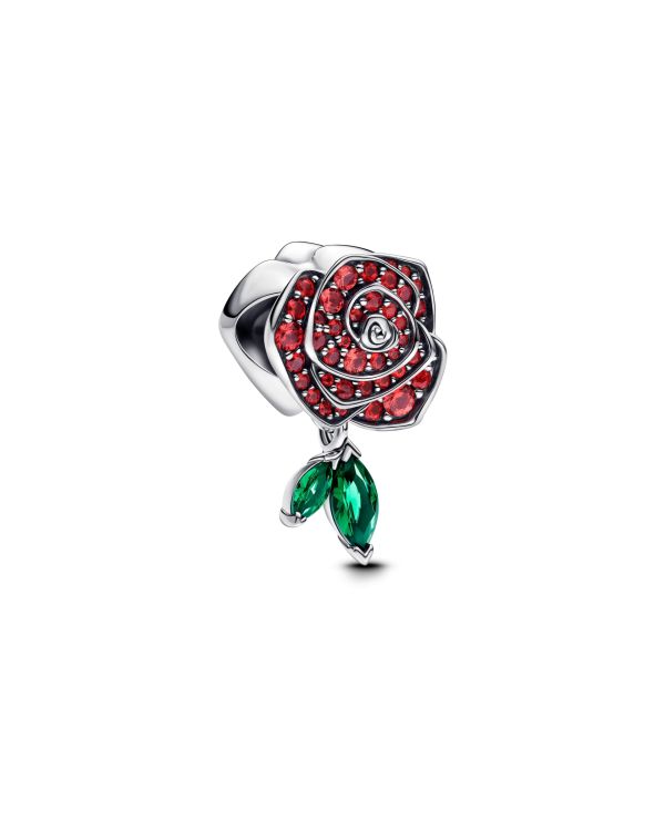 Pandora - Kristall Charm Silber 925 - Nature and Celestial