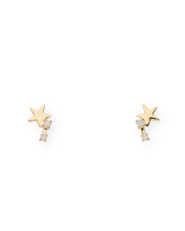 Diamant Ohrstecker Gold 9 ct - Fancydiamonds von Carat
