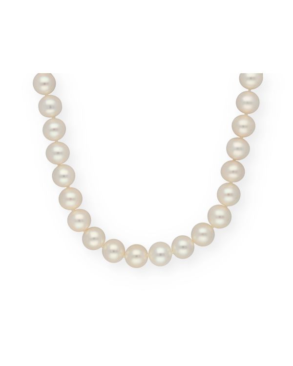 Collier Perles Or 18 ct - Pearls de Carat