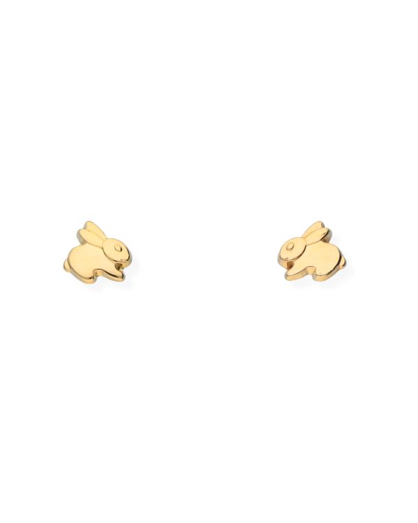 Clous d'oreilles Or 18 ct - Motifs de Carat Kids