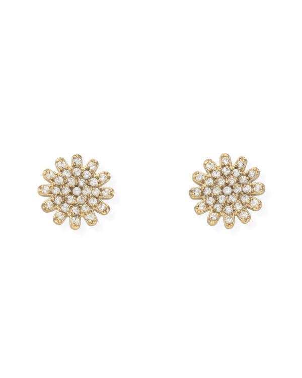 Clous d'oreilles Zirconia Acier inoxydable - Style de Carat