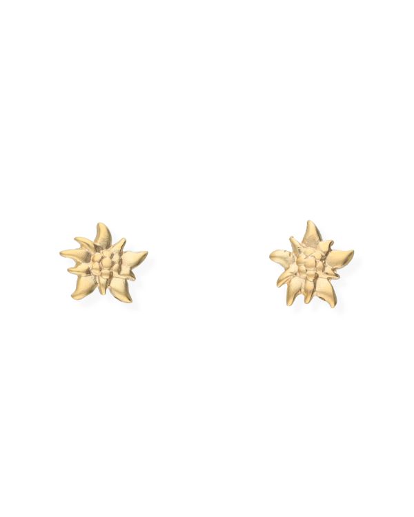 Clous d'oreilles Or 9 ct - Motifs de Carat