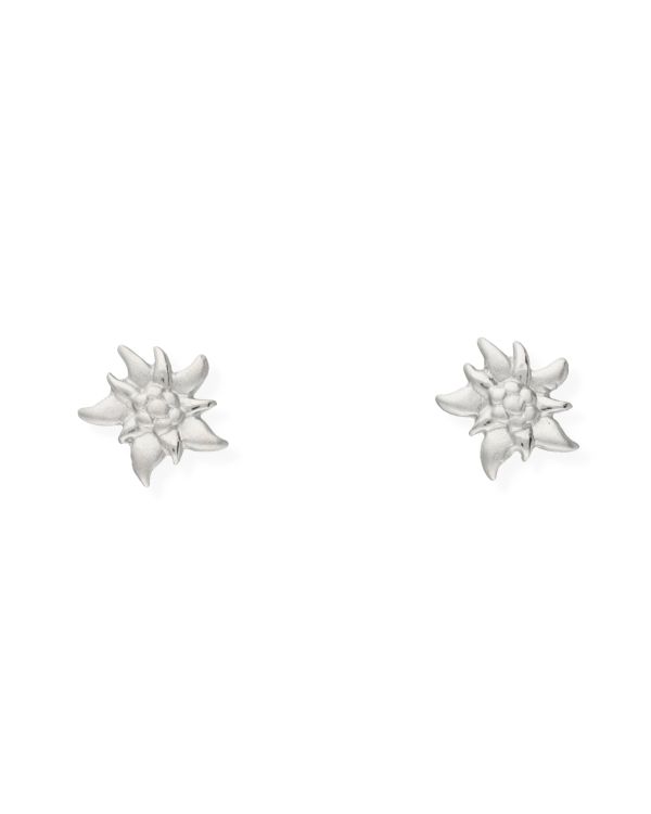Clous d'oreilles Argent 925 - Motifs de Carat